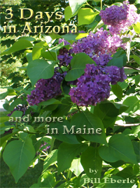 page for 3 Days in Arizona and more in Maine