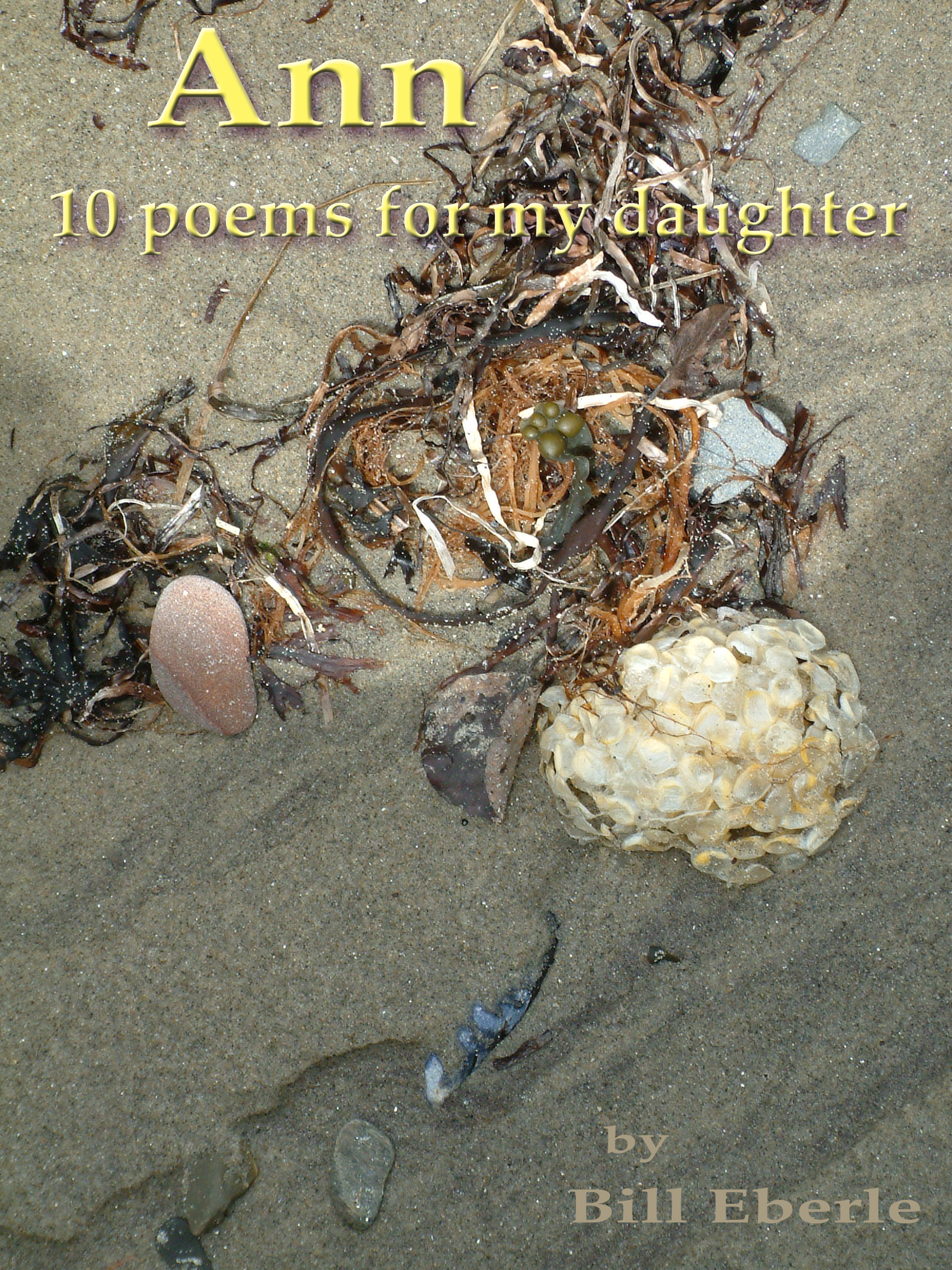 see cover - Ann 10 poems for my daughter