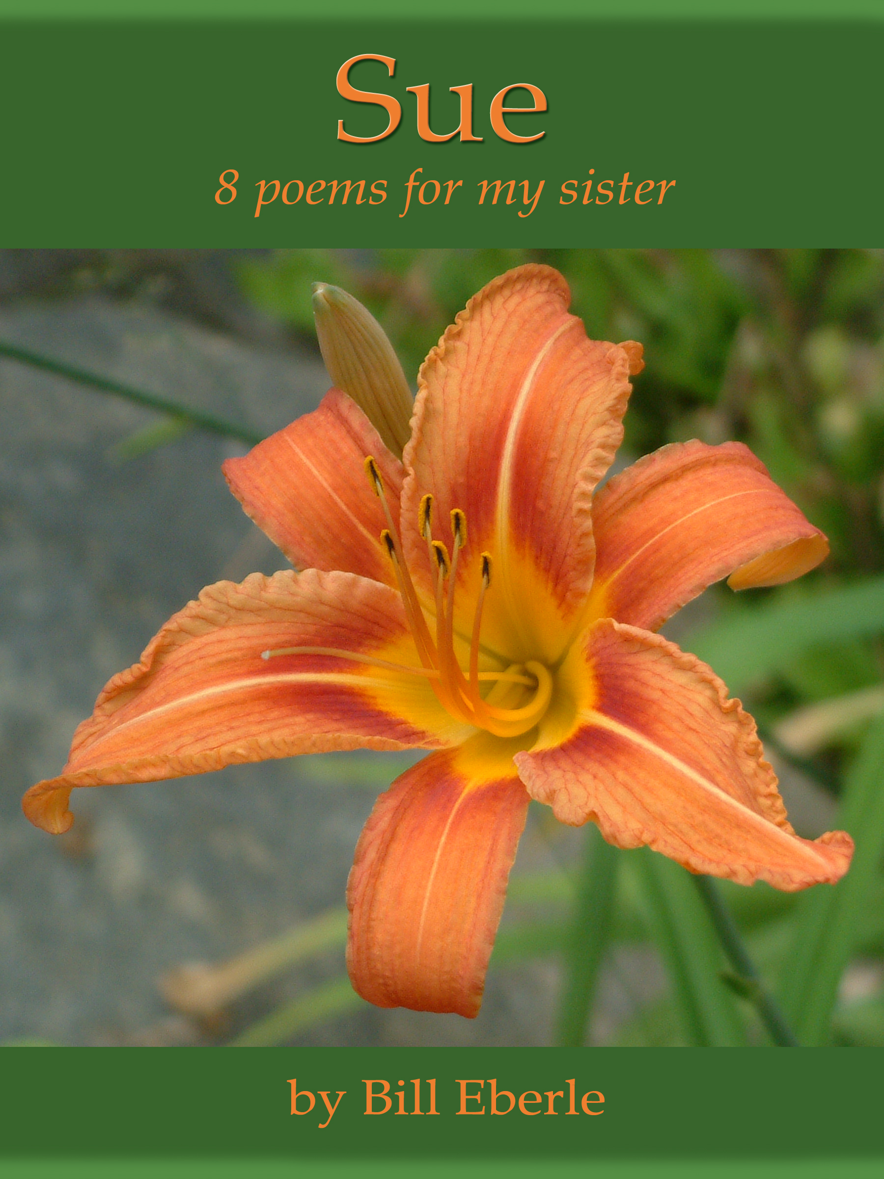 see cover - Sue . 8 poems for my sister